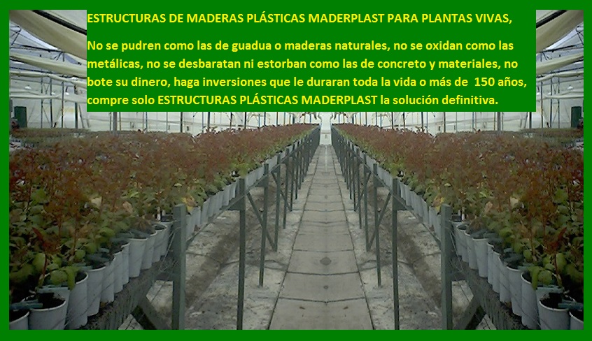 banco de enraizamiento enraizar plantas mostrador mesón lecho soporte propagar cultivar vivero plantar sembrar semillas esquejes brotes de plantas tallos socos de semillas en macetas materas 06 banco de enraizamiento enraizar plantas mostrador mesón lecho soporte propagar cultivar vivero plantar sembrar semillas esquejes brotes de plantas tallos socos de semillas en macetas materas 06 01 banco de enraizamiento enraizar plantas mostrador mesón lecho soporte propagar cultivar vivero plantar sembrar semillas esquejes brotes de plantas tallos socos de semillas en macetas materas 06